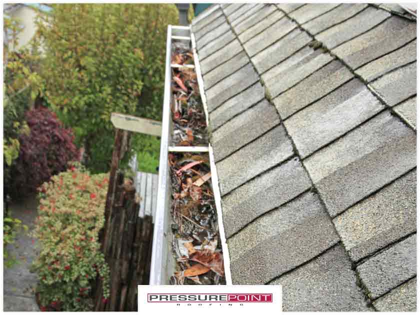 Gutter Damage