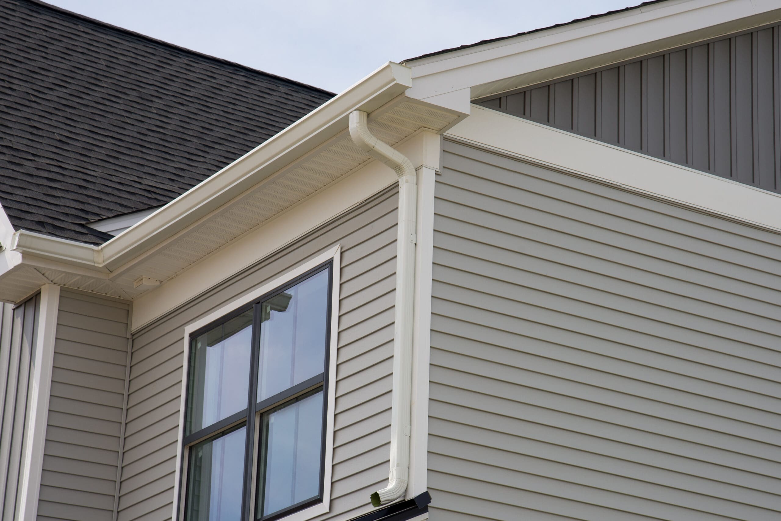 Keep Bats out of the Attic with Professional Siding Experts | Pressure ...